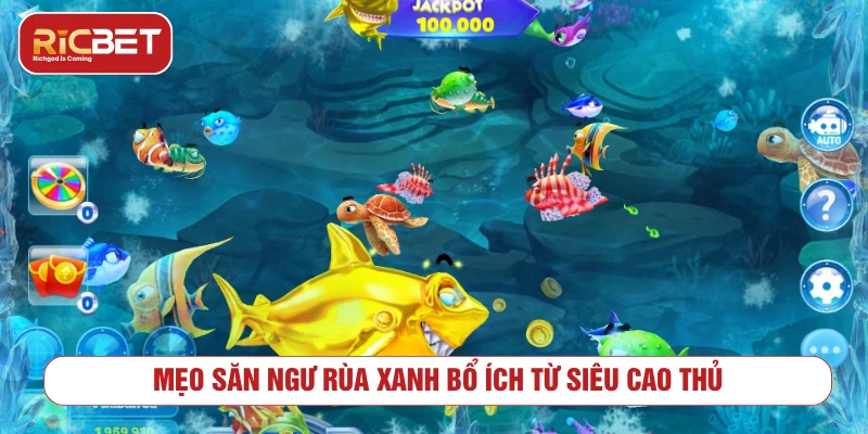 Mẹo chơi bắn cá rùa xanh có kiểm soát