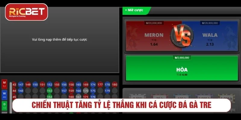 Đá Gà Tre RICBET - Luật Chơi Và Cách Xem Kèo Quản lý vốn khi tham gia đá gà tre trực tuyến