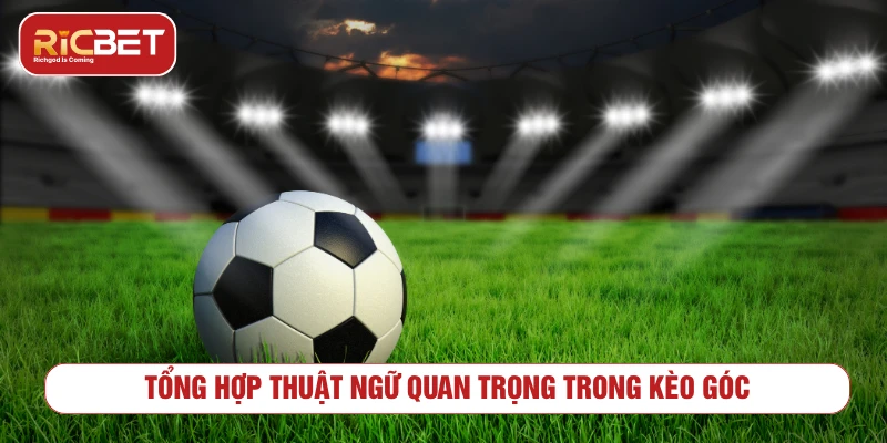Kèo Góc RICBET - Cách Đọc Kèo Phạt Góc Bóng Đá Các thuật ngữ phổ biến khi đọc kèo góc bóng đá